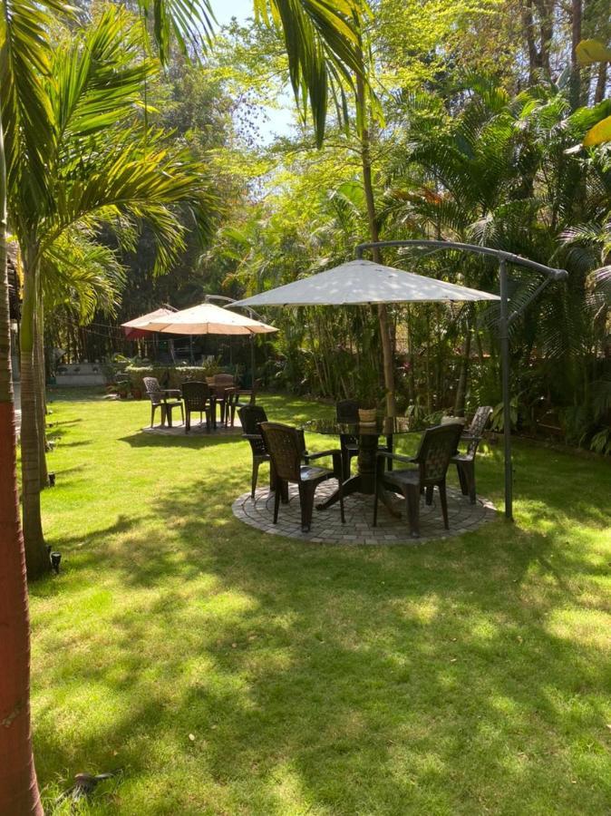 Royal Palms Luxury Service Hotel