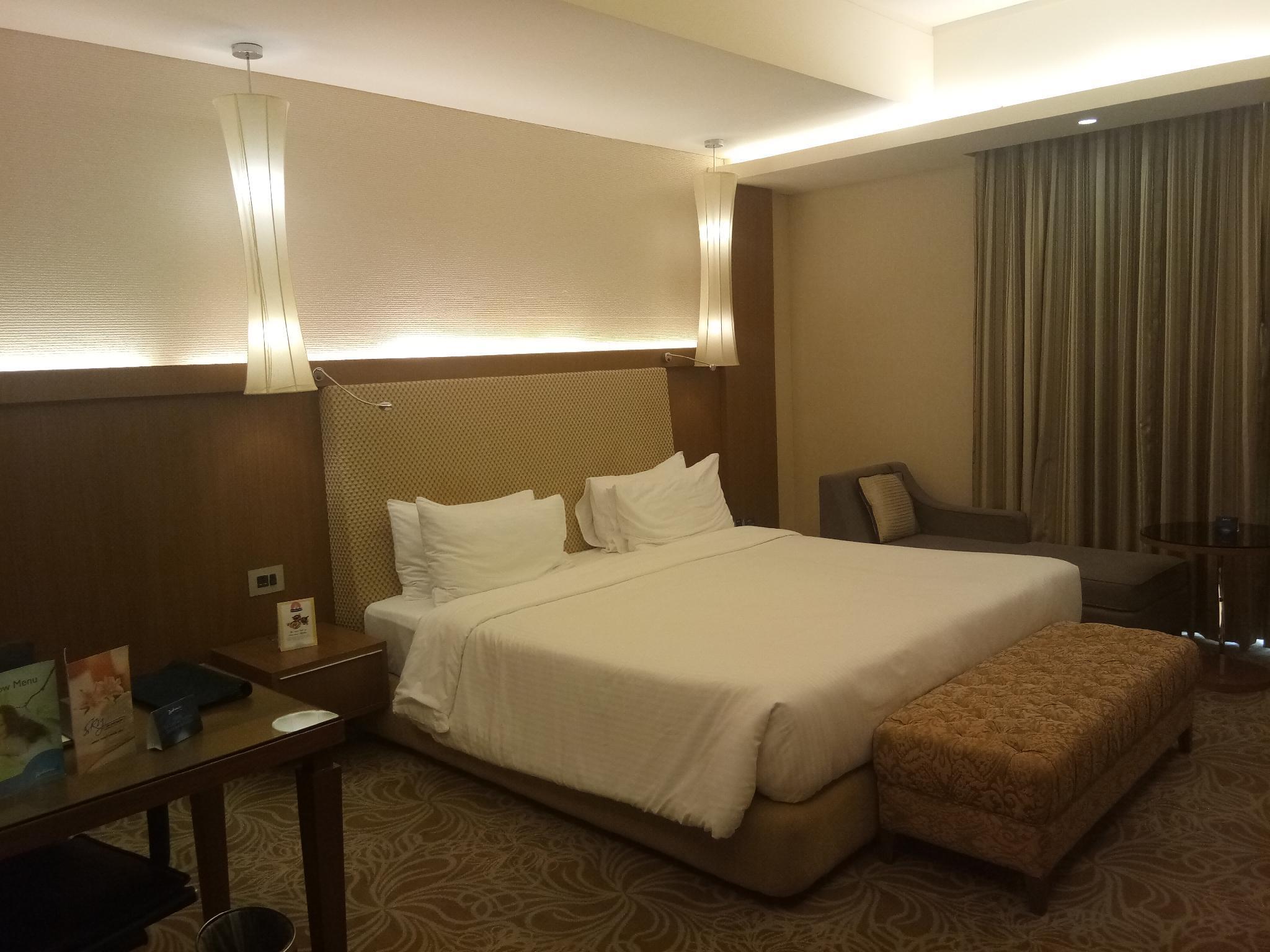 Radisson Blu Hotel, Hotel