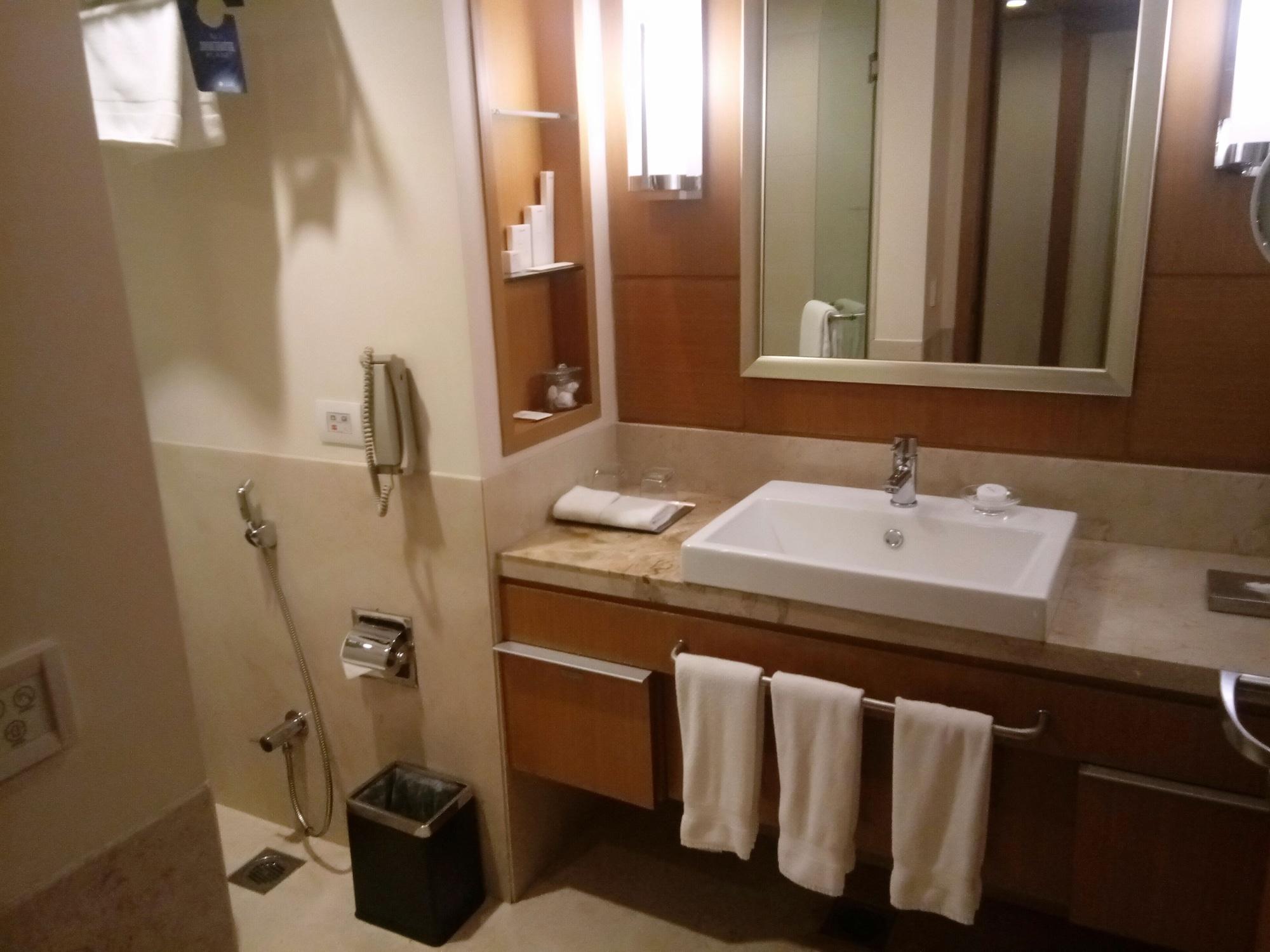 Hotel Radisson Blu Hotel,