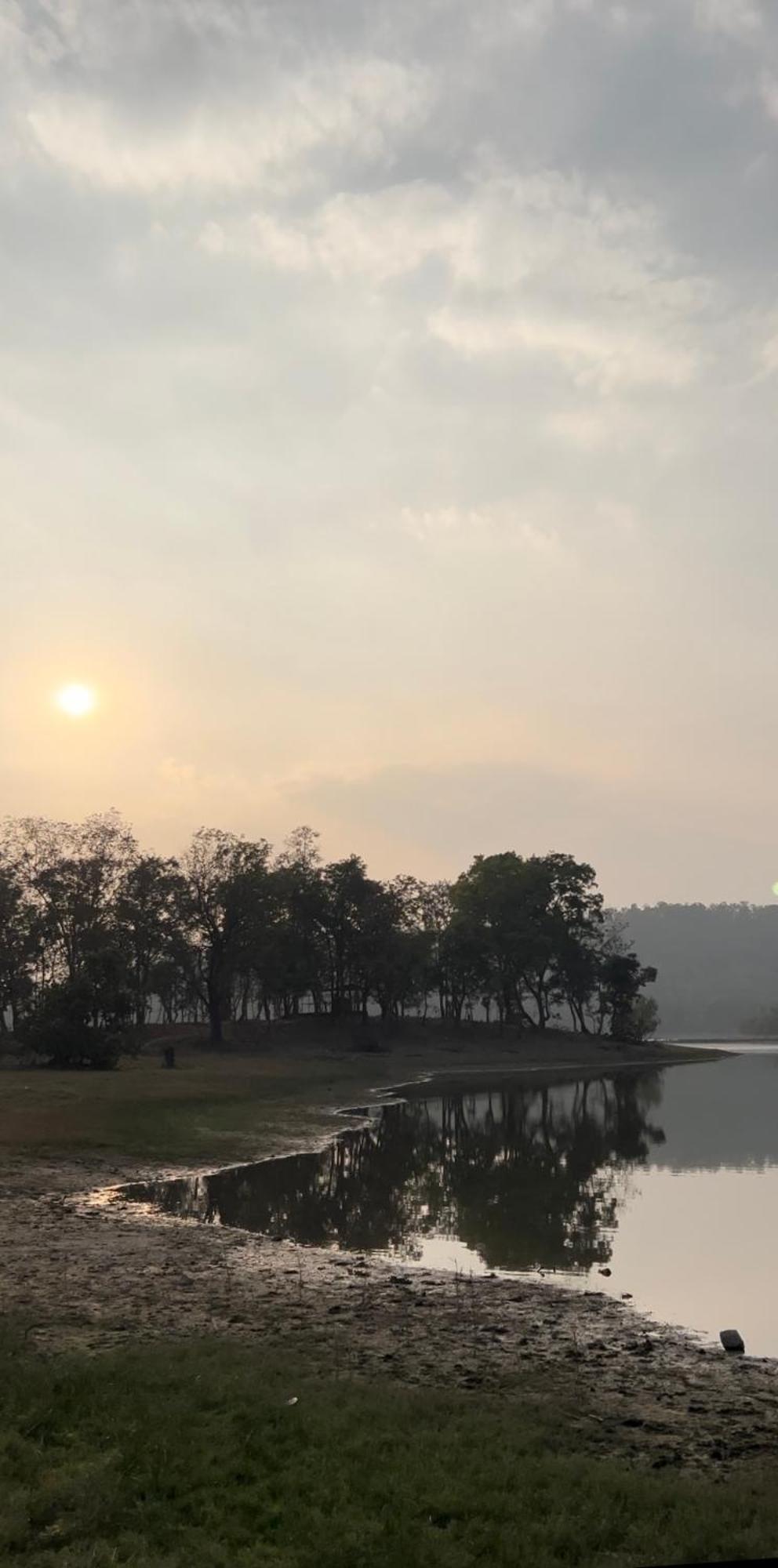 Wild Woods Tiger 4* Nagpur