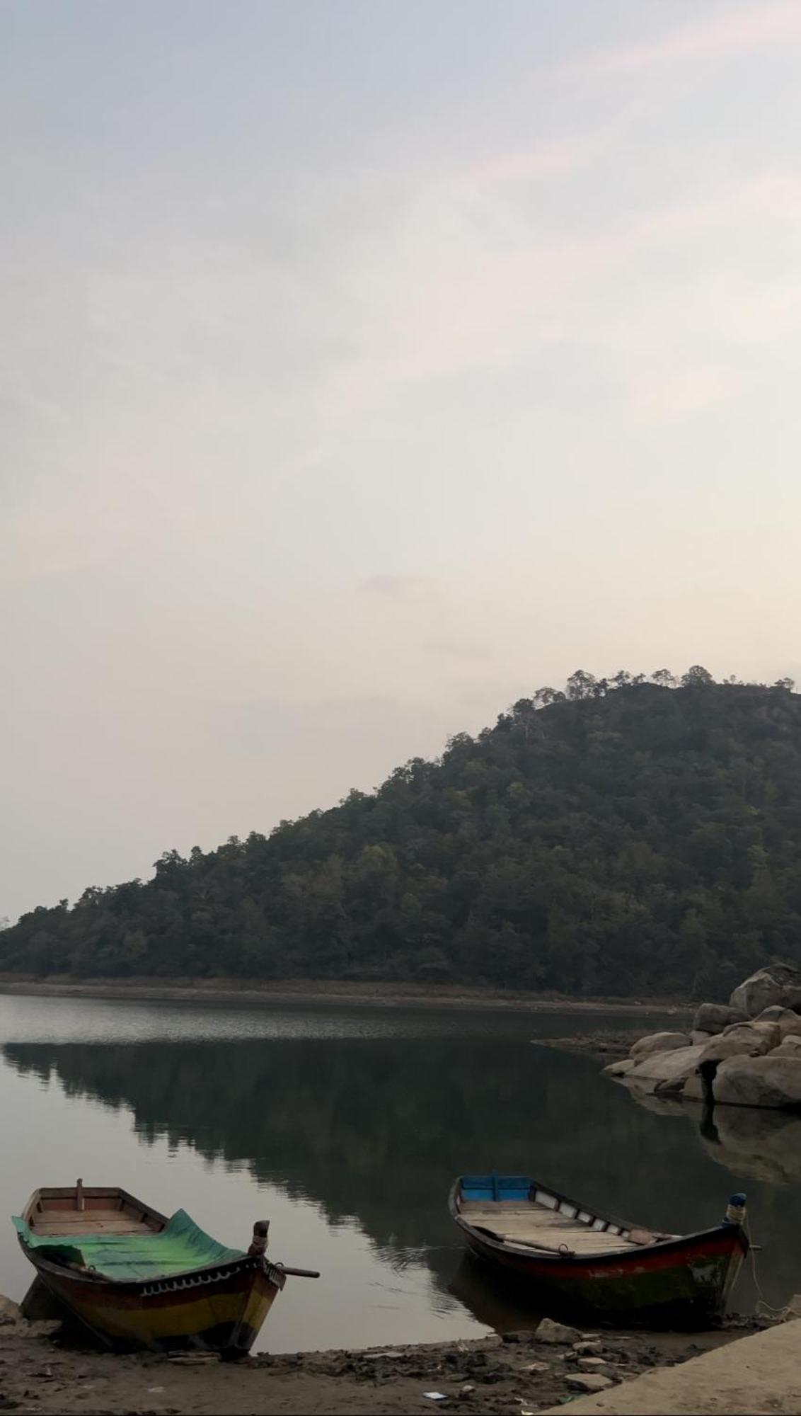 Wild Woods Tiger Hotel 4*