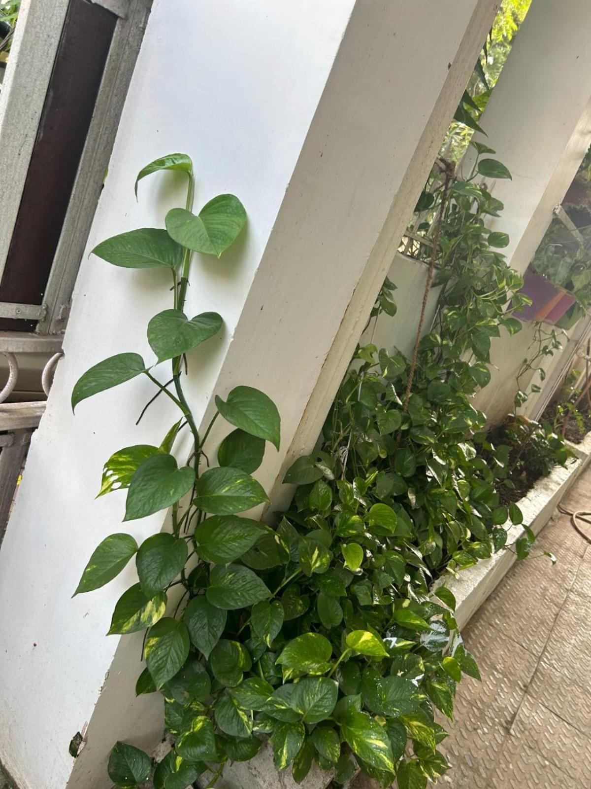 Villa Varsha's A Luxurious Stay. Nagpur