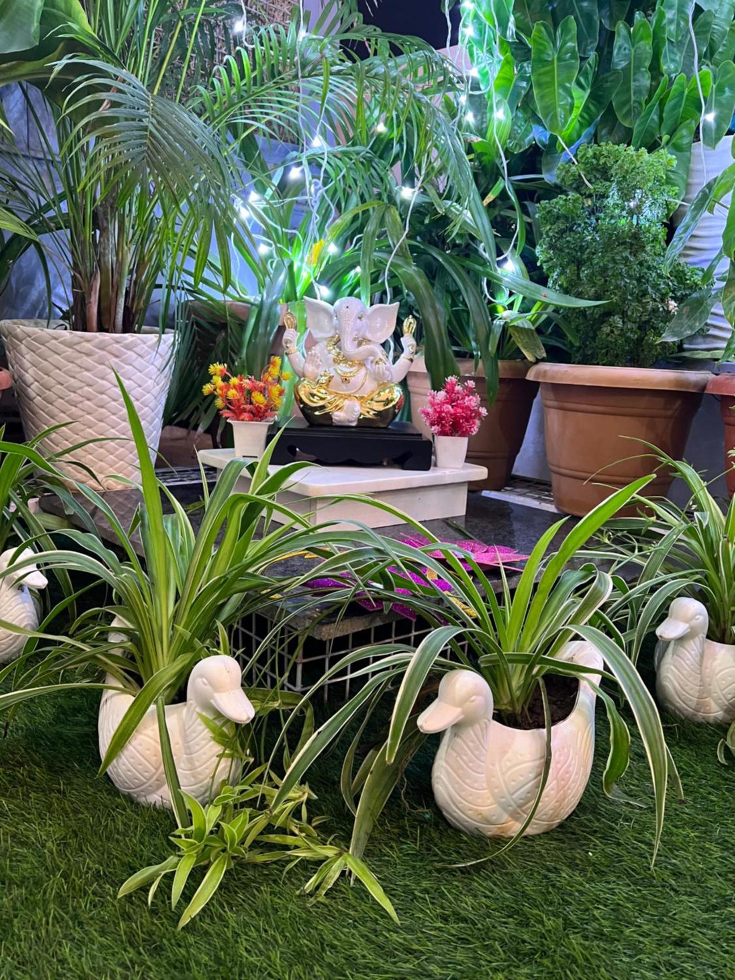 Twin Guest house Nagpur