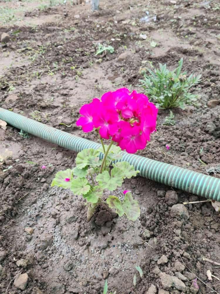 Anjani Farms * Nagpur