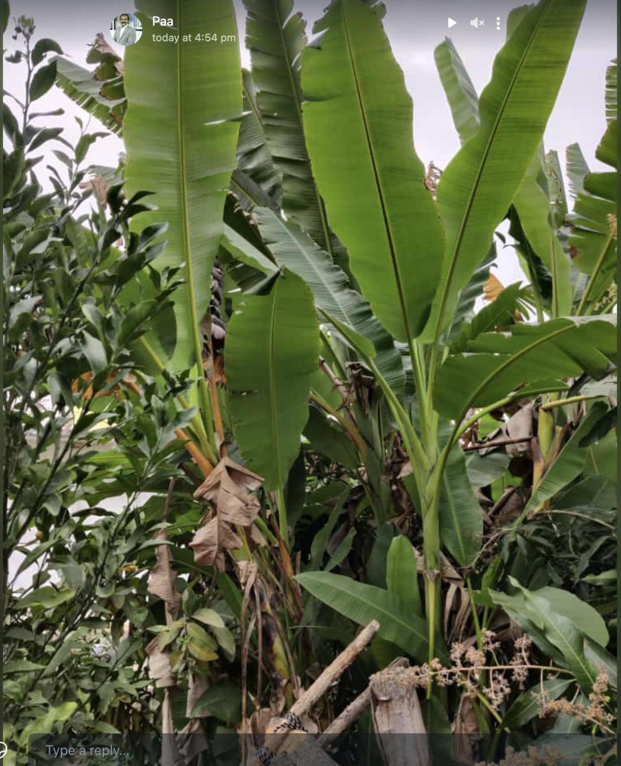 Anjani Farms Nagpur