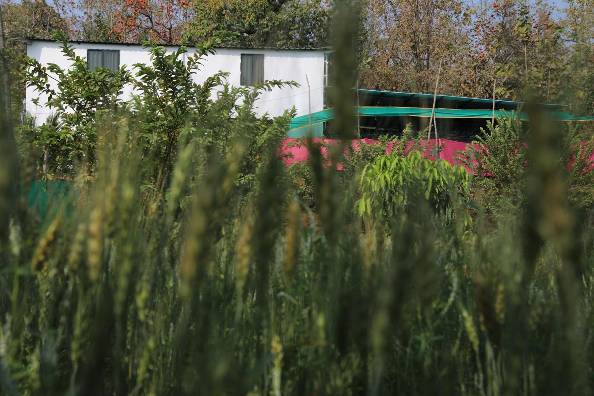Anjani Farms *