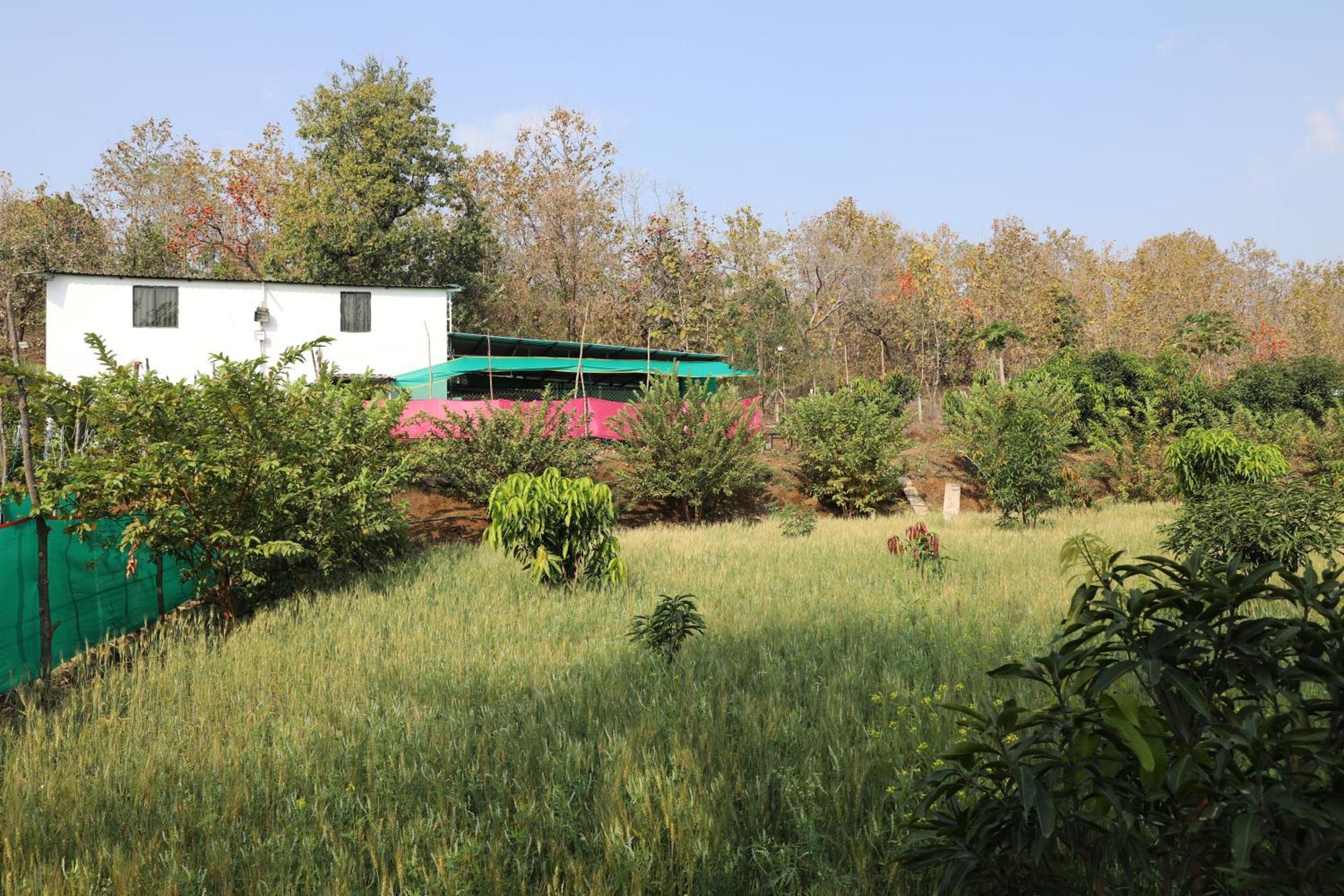 Holiday home Anjani Farms
