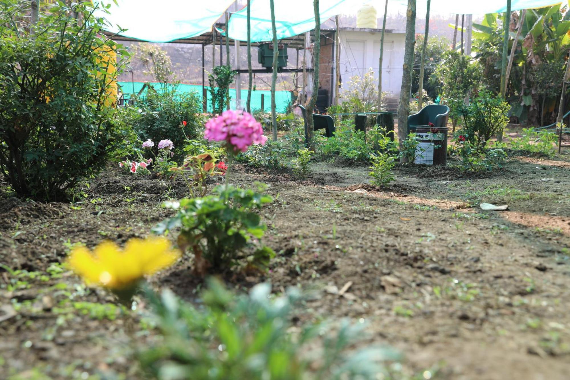 Anjani Farms Holiday home Nagpur