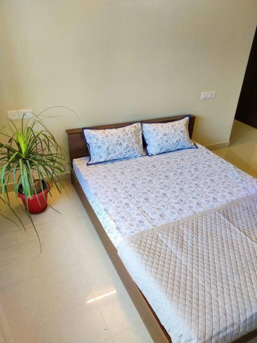 The Minimalist Retreat * Nagpur