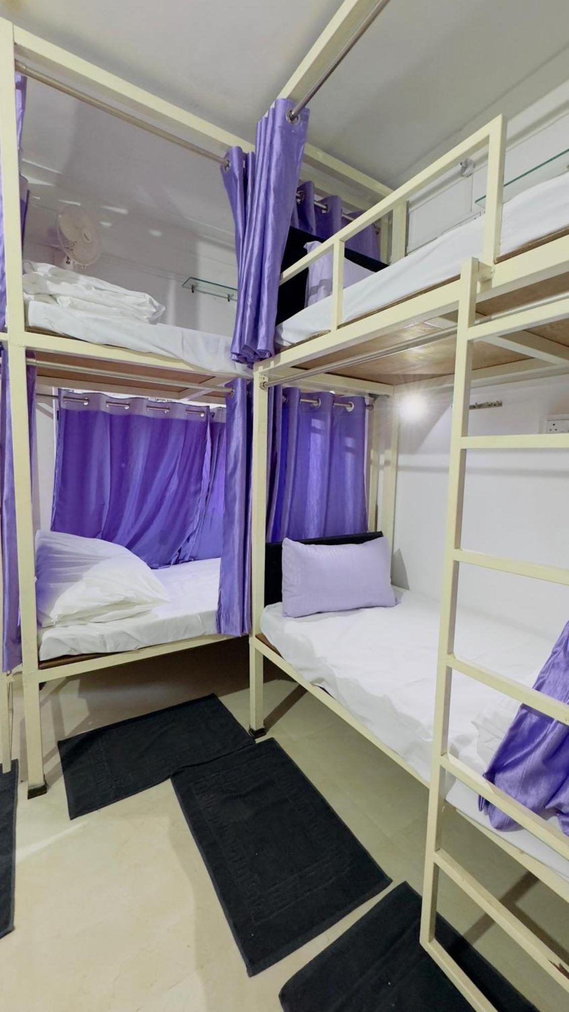 Albergue Svn *