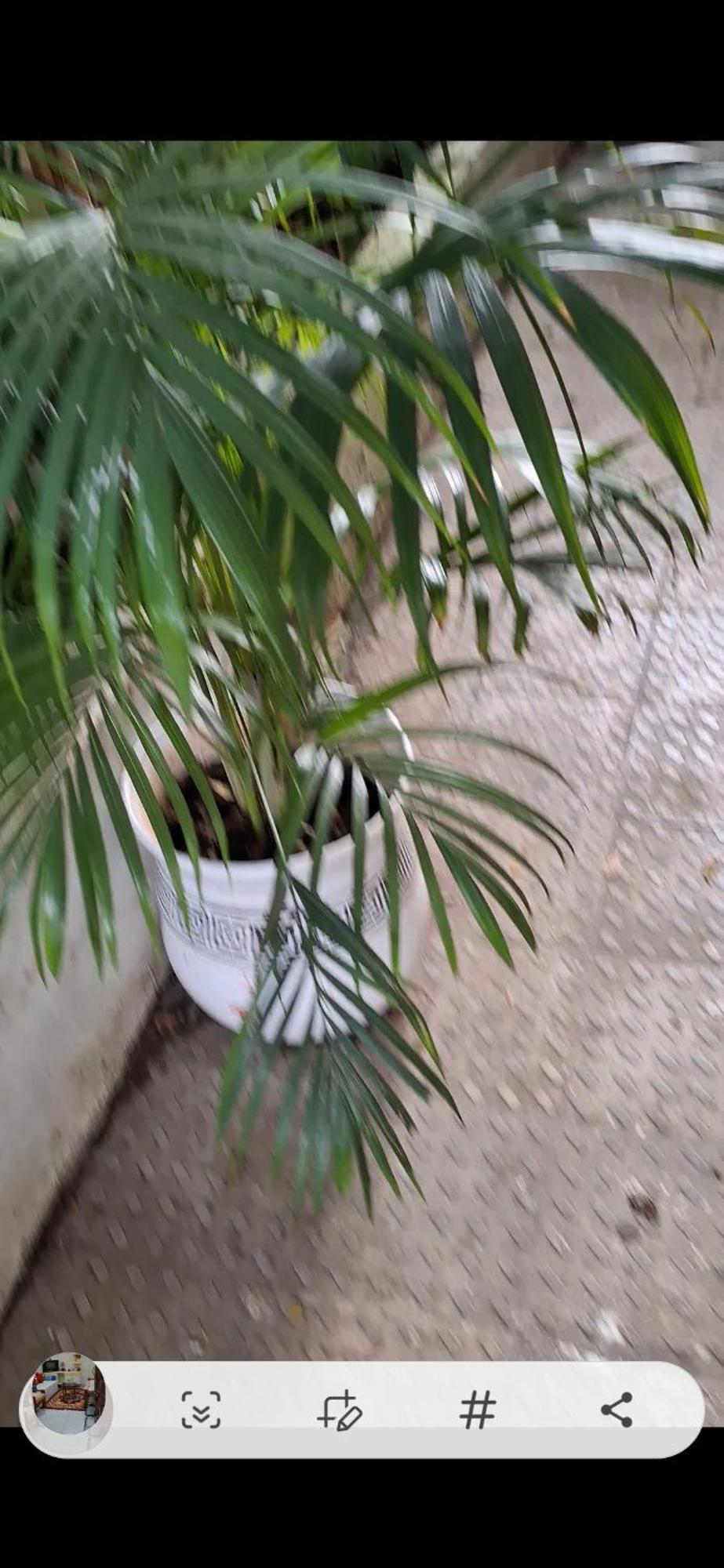 2bhk Chandra Jyoti Nit Garden * Nagpur