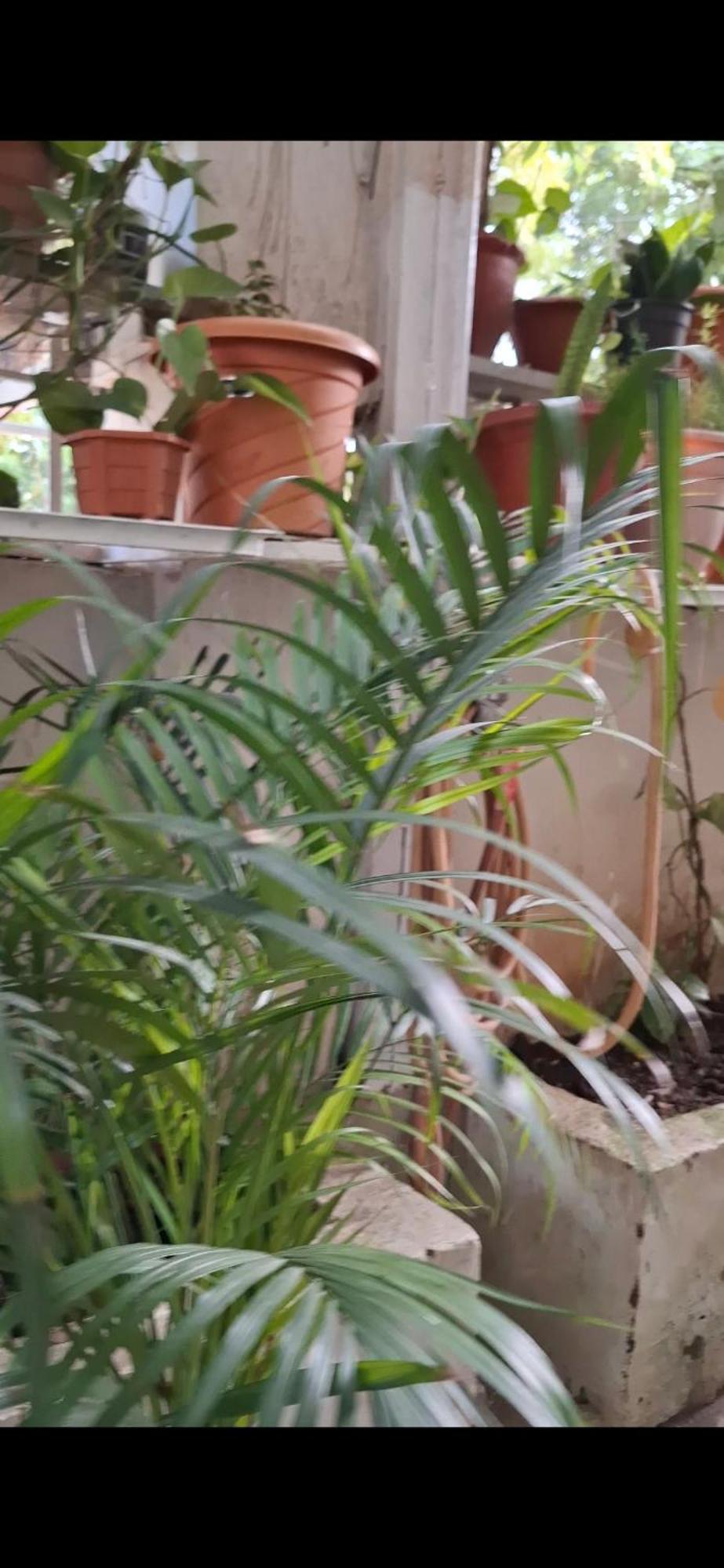 2bhk Chandra Jyoti Nit Garden