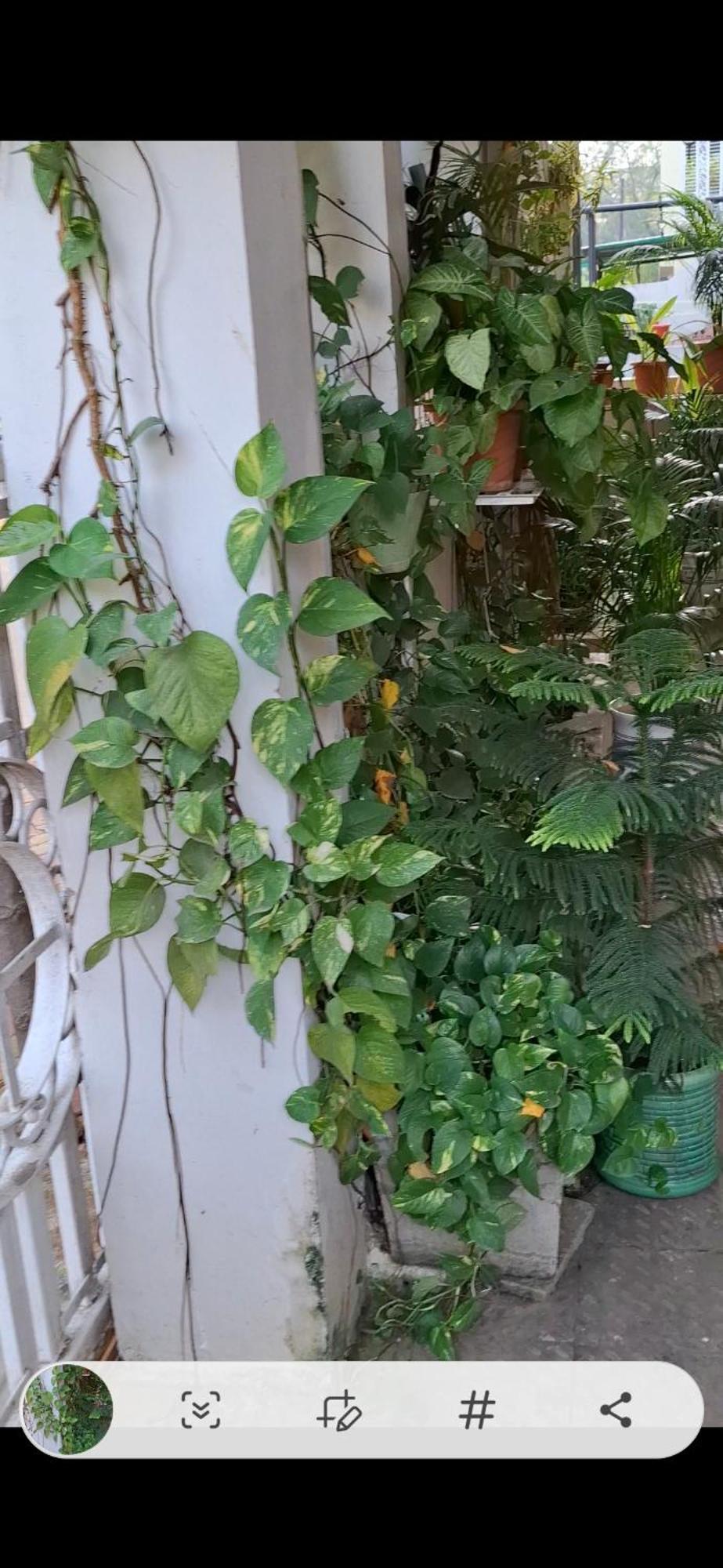 2bhk Chandra Jyoti Nit Garden Villa