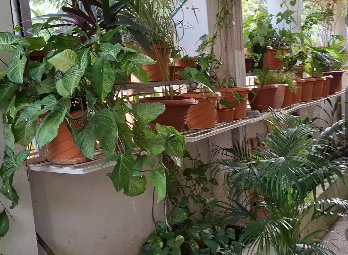 2bhk Chandra Jyoti Nit Garden Villa *