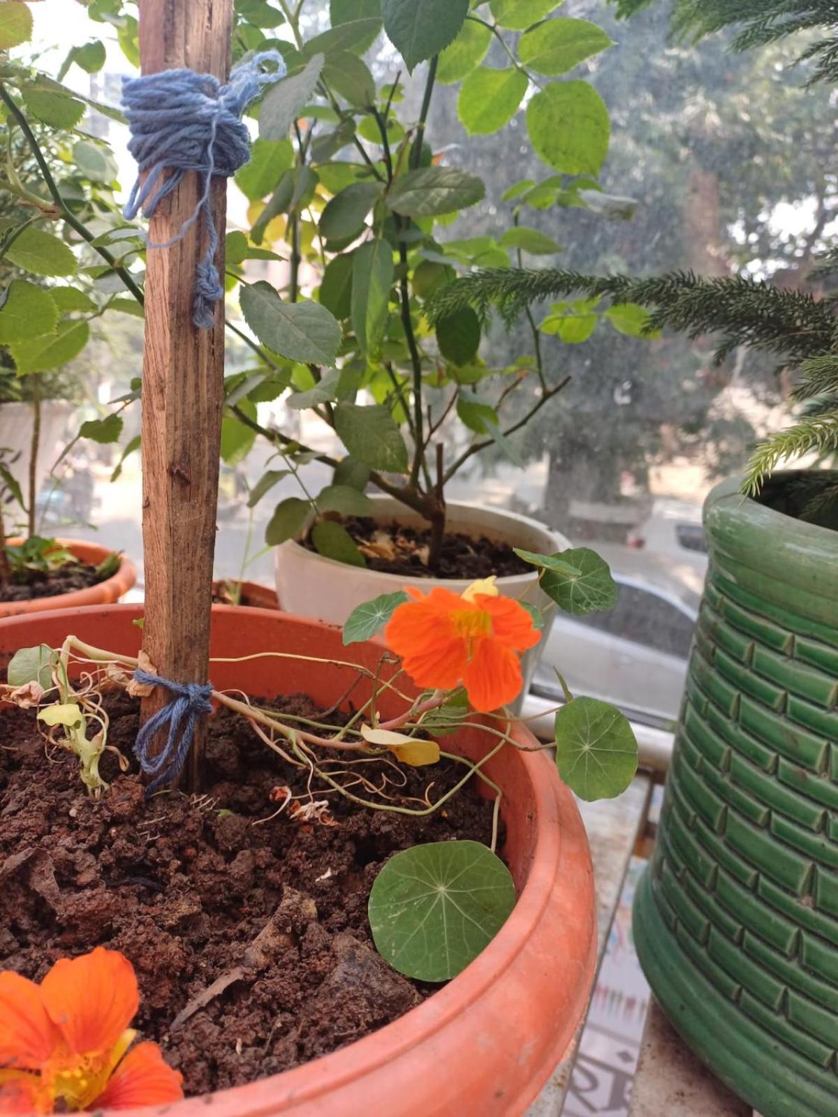 2bhk Chandra Jyoti Nit Garden
