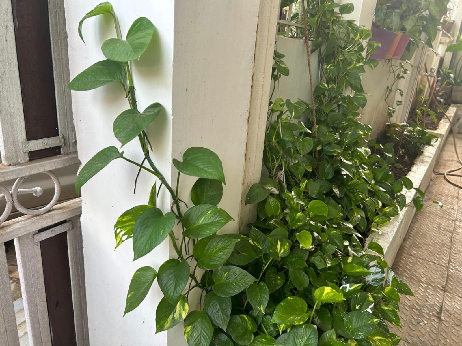 2bhk Chandra Jyoti Nit Garden Villa Nagpur
