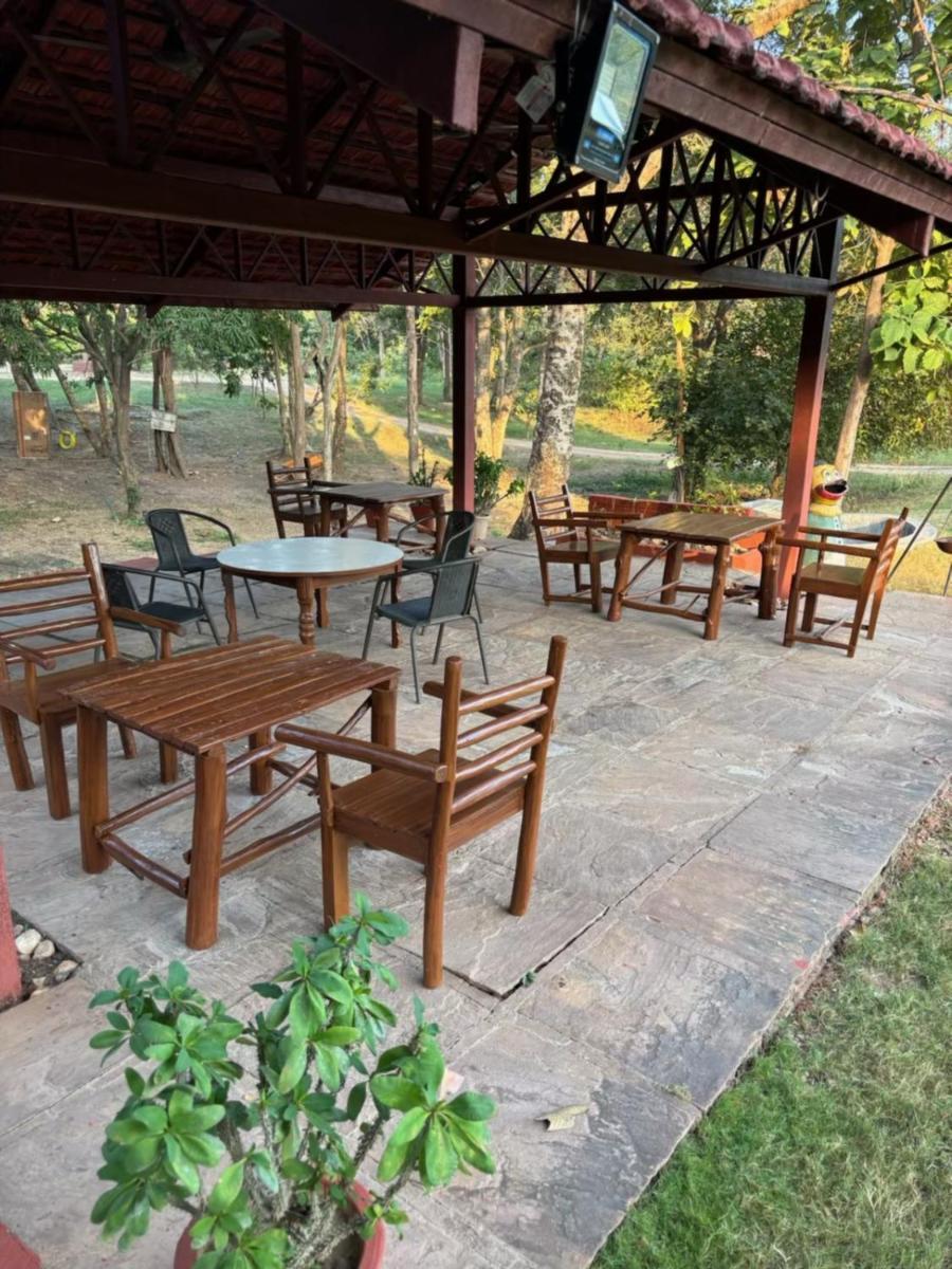 Wild Woods Tiger 4* Nagpur