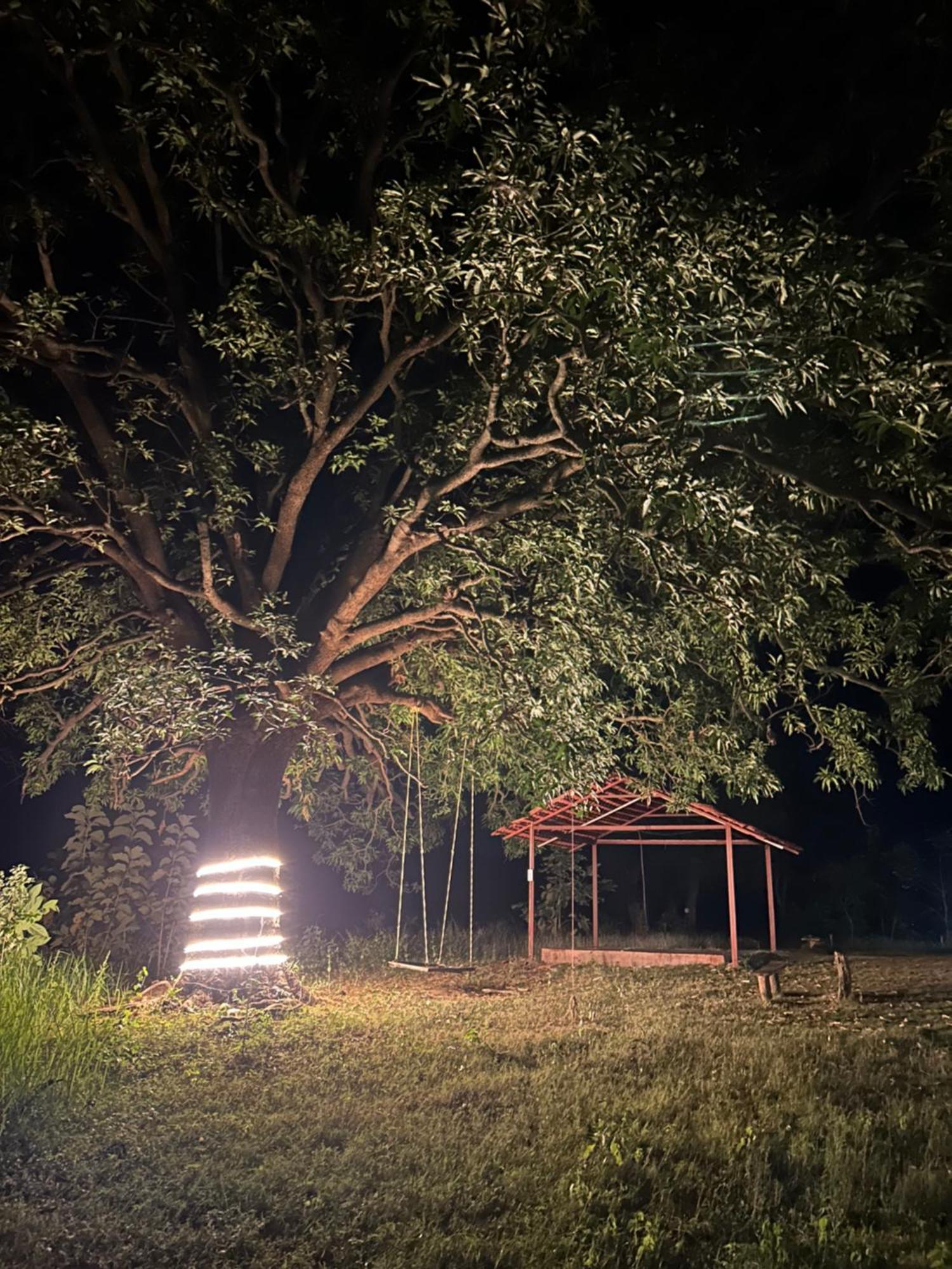 Hotel Wild Woods Tiger Nagpur