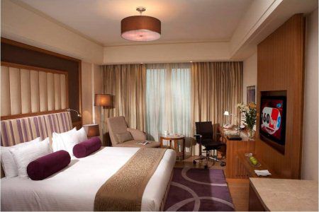 Radisson Blu Hotel, Hotel 5*